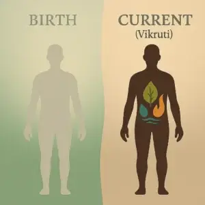 ayurvedic dosha test