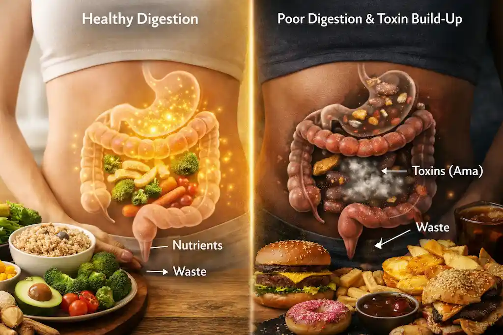 Ayurveda ama Ayurveda ama