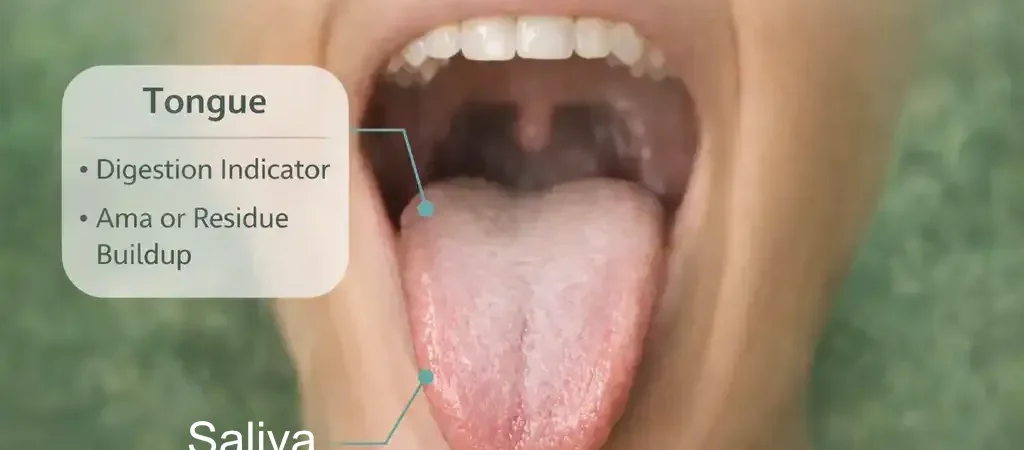 Ayurveda tongue diagnosis