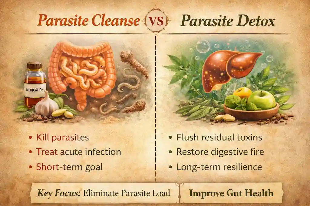parasite cleanse